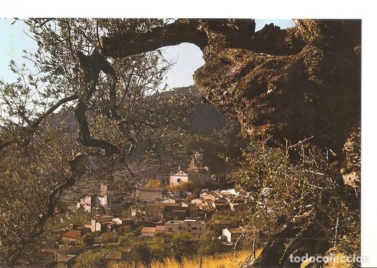 Postkarten: Postal 049238 : Valldemosa. Olivo Milenario-Al fondo La Cartuja. Mallorca-Baleares-Espa&ntilde;a - Varios