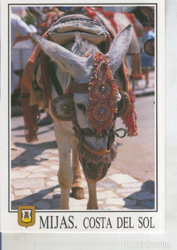 Postcards: Postal 011206: Burro tipico de Mijas, malaga - Varios