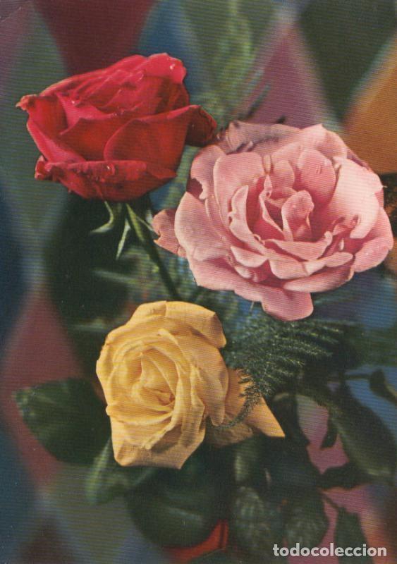 Postales: Postal 016150: Rosas - Varios - Foto 1