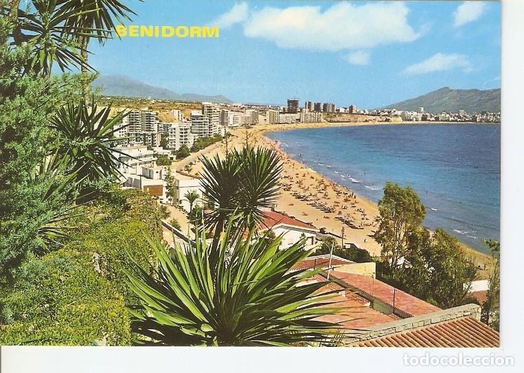 Postales: Postal 049231 : Benidorm (Espa&ntilde;a) - Varios - Foto 1