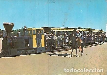 Postales: POSTAL 18069: MER DE SABLE - Varios