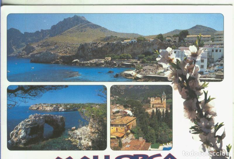 Postcards: Postal 5243 : Vistas de Mallorca - Varios