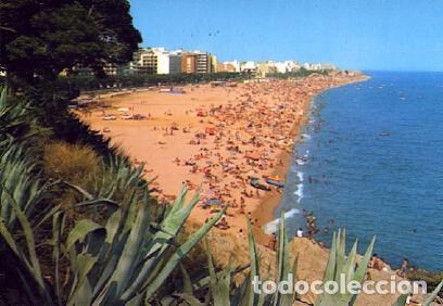Postales: POSTAL 56497: Calella - Varios - Foto 1