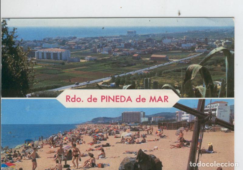 Postkarten: Postal 7033 : Pineda de Mar, recuerdo - Varios