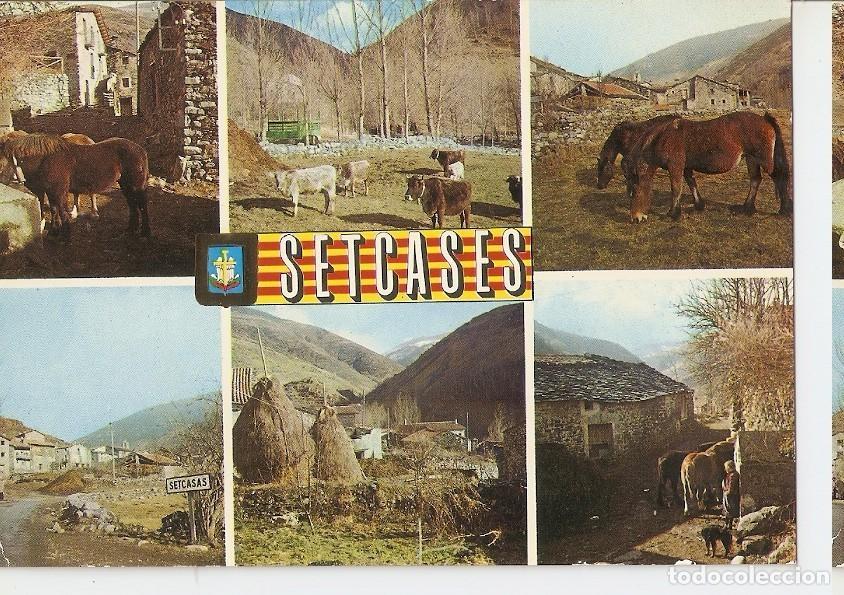 Postais: Postal 044979 : Setcases (Girona) Pirineu Catala. Diferents aspectes - Varios