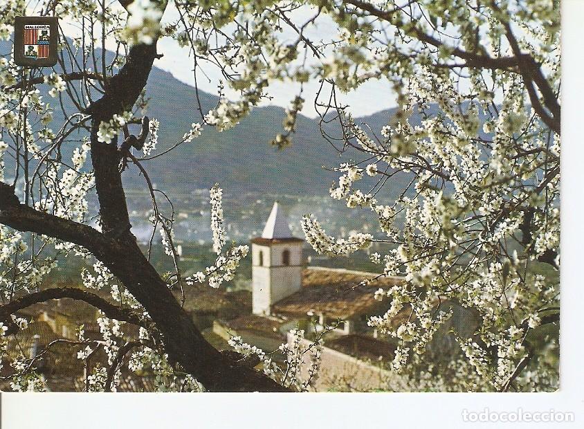 Postales: Postal 028766 : Almendros en Flor. Mallorca - Varios - Foto 1