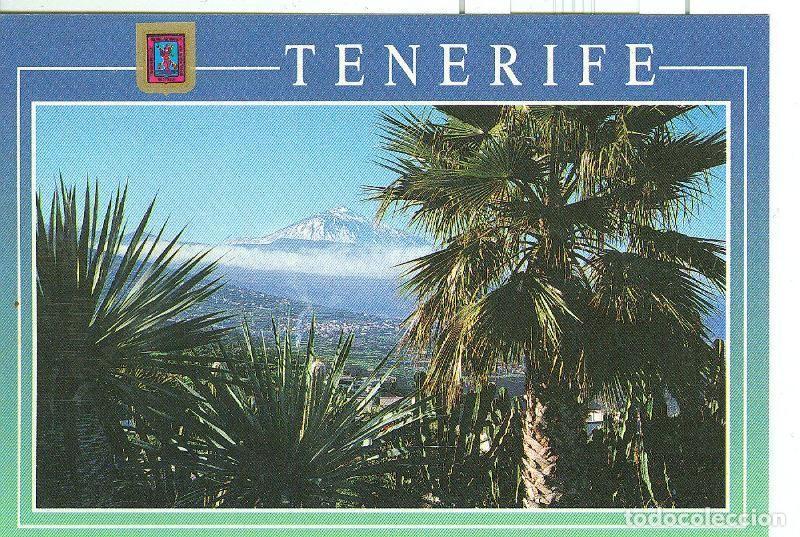 Postales: Postal 6207 : La Matanza, Tenerife - Varios