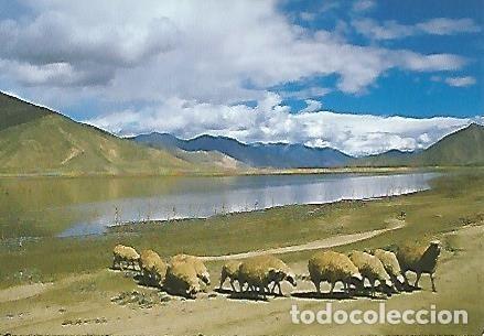 Postkarten: POSTAL 55754: TIBET. Rio Yarlong Tsangpo - Varios