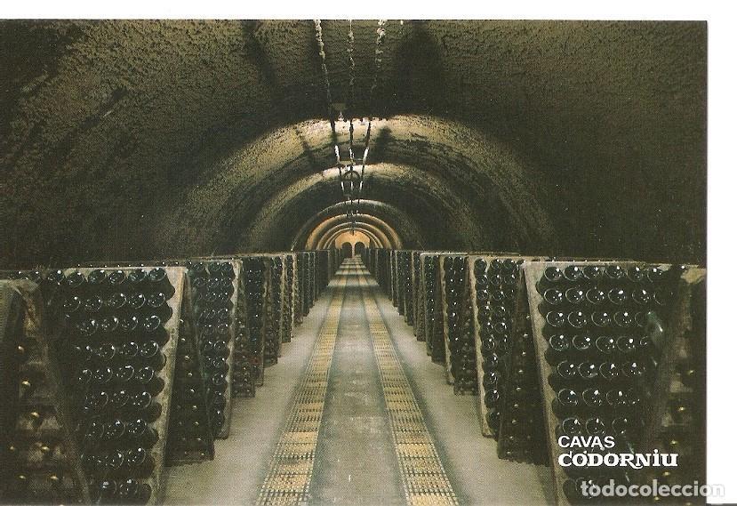 Postales: Postal 043197 : Cavas Codorniu. Botellas en pupitre - Varios