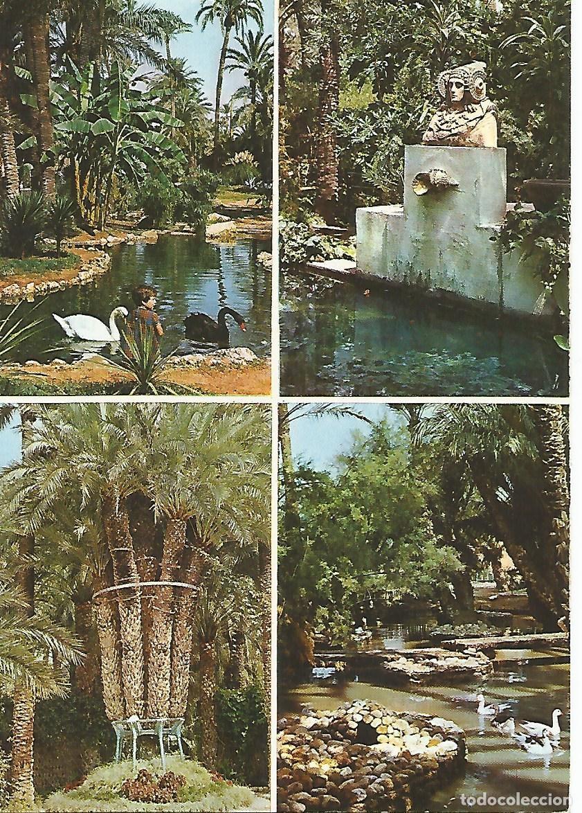 Postais: Postal 50406: ELCHE -Vistas