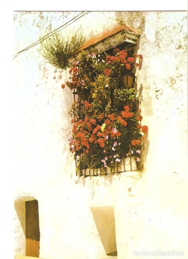 Postkarten: Postal 027992 : Aracena, calle Colon - Varios