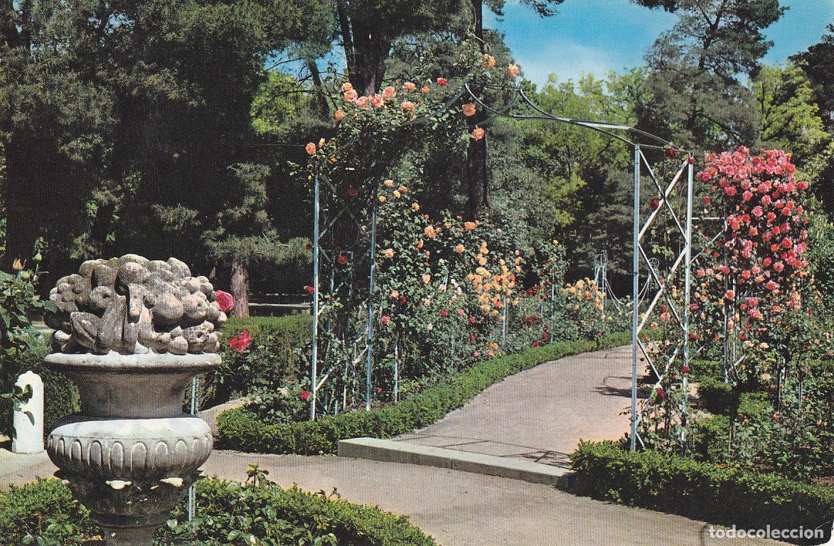 Postcards: Postal 61168 : Madrid. Parque del Retiro. Rosaleda - Varios