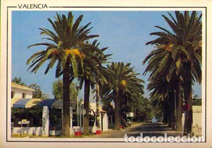 Cartes Postales: POSTAL 56962: Valencia Playa de las Palmeras - Varios