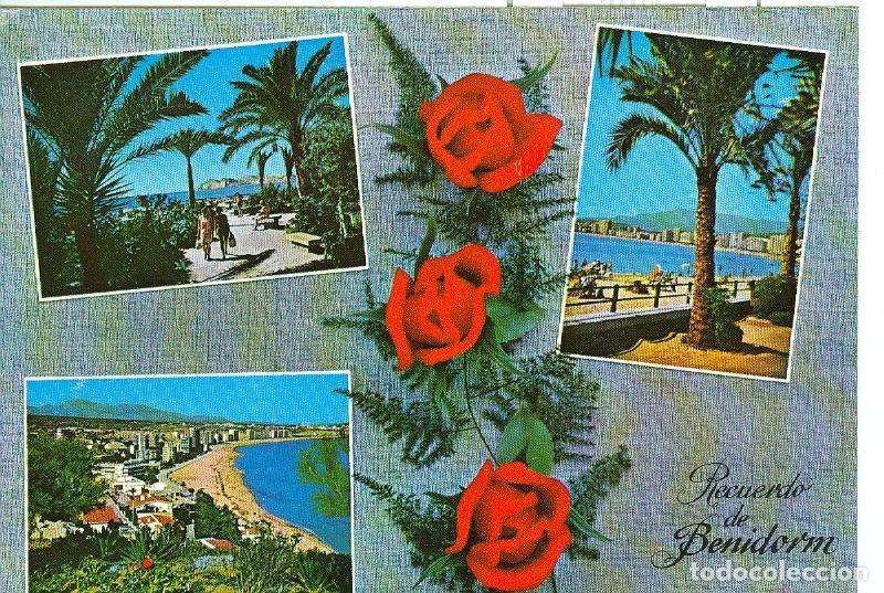 Postales: Postal 6210 : Recuerdo de Benidorm - Varios