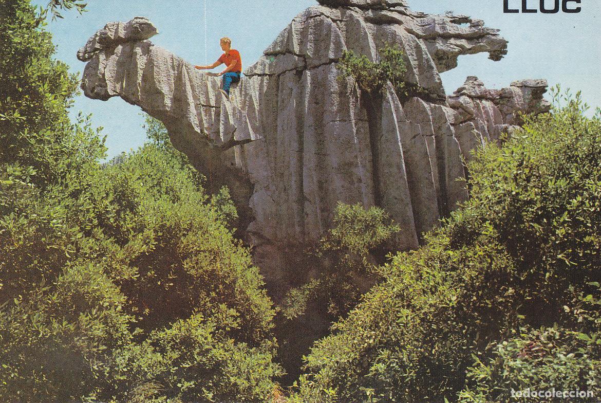 Postales: Postal 61498 : Mallorca. Lluc. El Camello - Varios - Foto 1