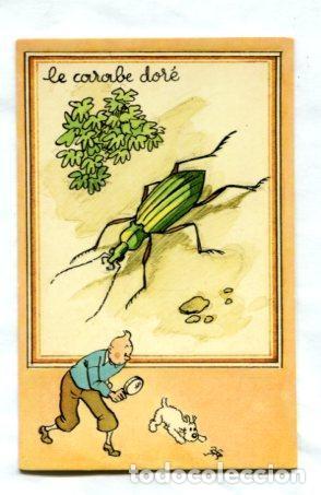 Postales: Tintin: Postal Didactica del 1943 : Modelo Le carabe dore - Varios