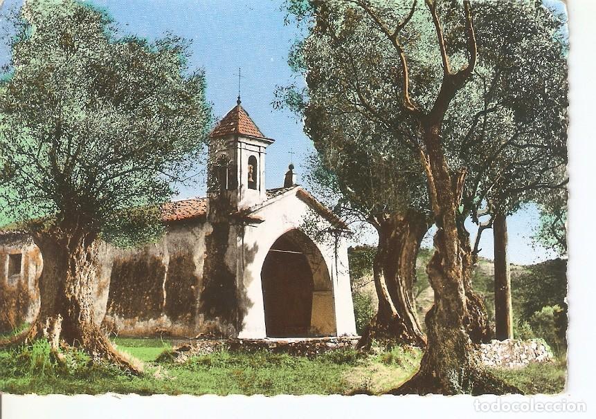 Postales: Postal 033988 : Provence. Chapelle les Oliviers - Varios
