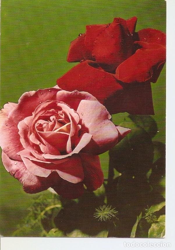 Postales: Postal 041372 : Rosas - Varios - Foto 1