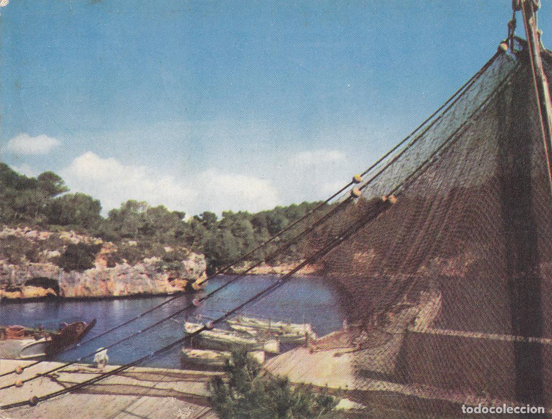 Postcards: Postal 61983 : Mallorca. Cala Figuera (Santa&ntilde;y) - Varios