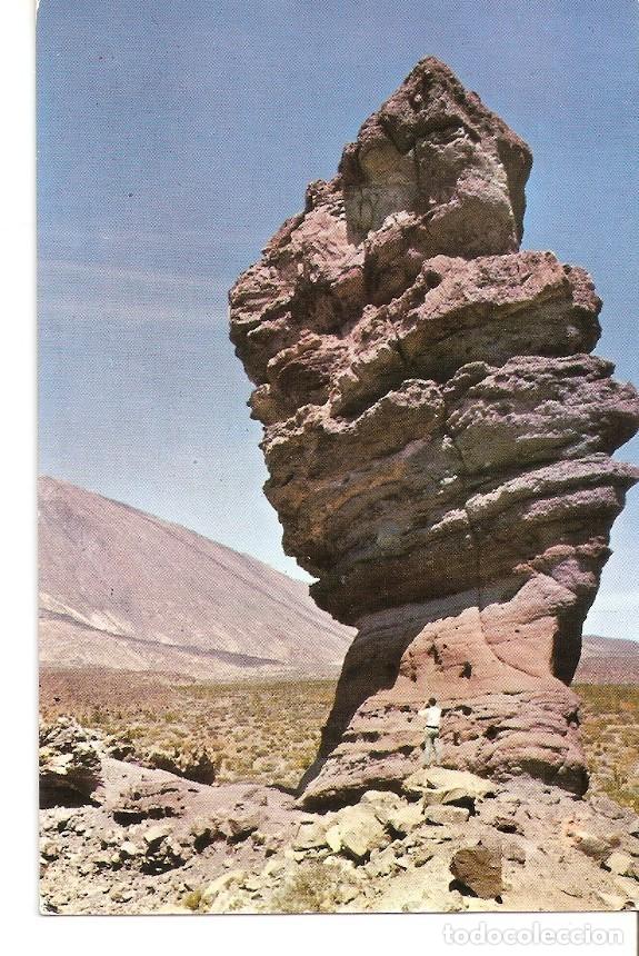 Postales: Postal 039765 : Tenerife. Arbol de Piedra en las Ca&ntilde;adas - Varios