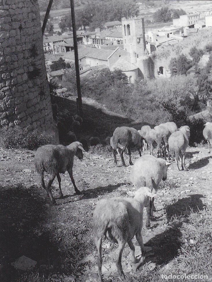 Postales: Postal 62303 : San Pere de Galligans - Gerona - Varios