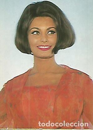 Postales: POSTAL 52843: SOFIA LOREN - Varios