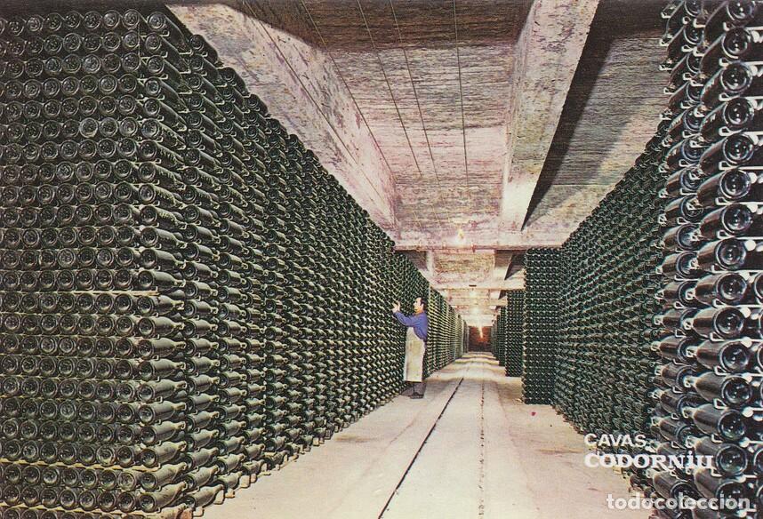 Postales: Postal 60852: Publicitaria. Envejecimiento de botella. Cavas de Codorniu. - Varios