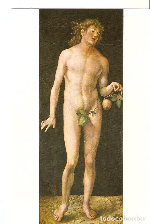 Postales: Postal 048744 : Adan. Museo del Prado A. Durero - Varios