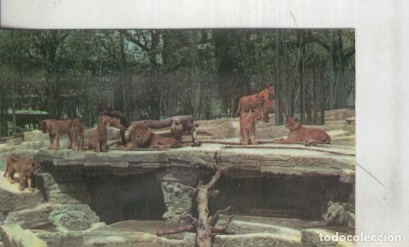 Postkarten: Postal: Barcelona: Zoo - Varios