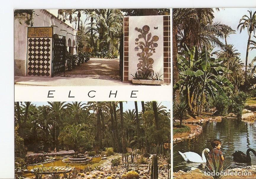 Postcards: Postal 024581 : Elche - Varios
