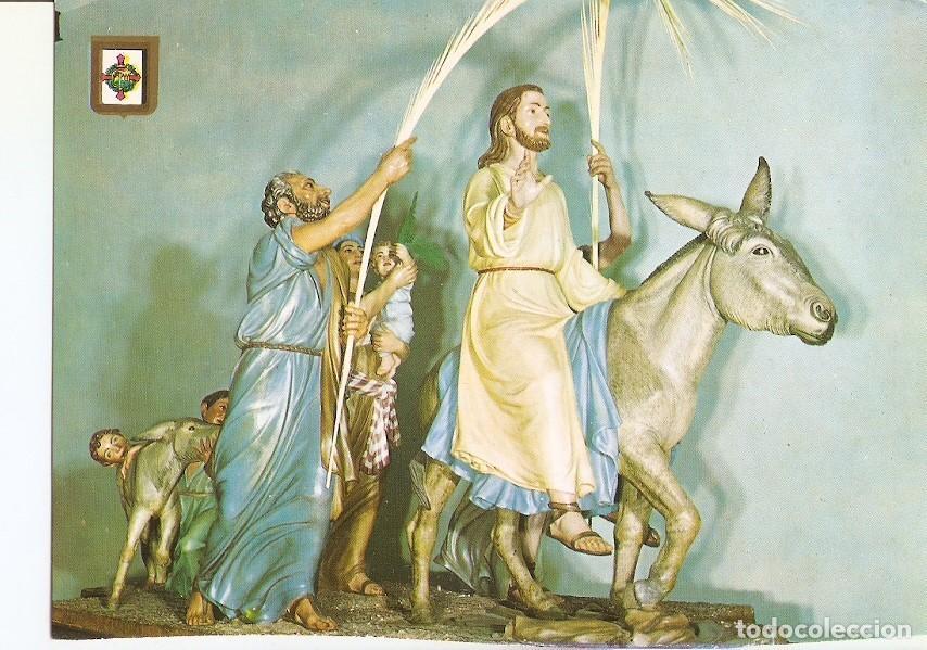 Postales: Postal 023835 : Jesus entra en Jerusalen Florentino Trapero. Semana Santa de Zamora - Varios