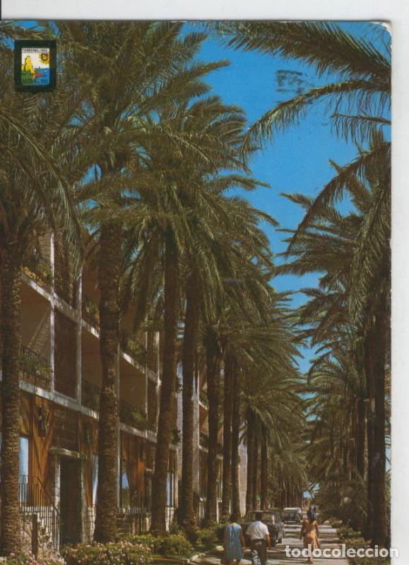 Postales: Postal 07538 : Paseo de Palmeras de Torremolinos - Varios