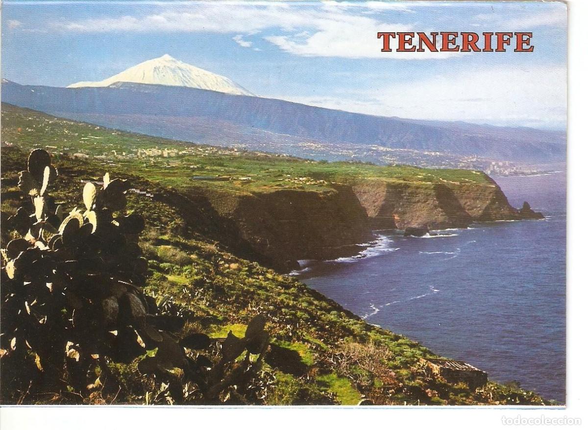 Cartes Postales: Postal 038564 : Tenerife. Litoral del Norte - Varios