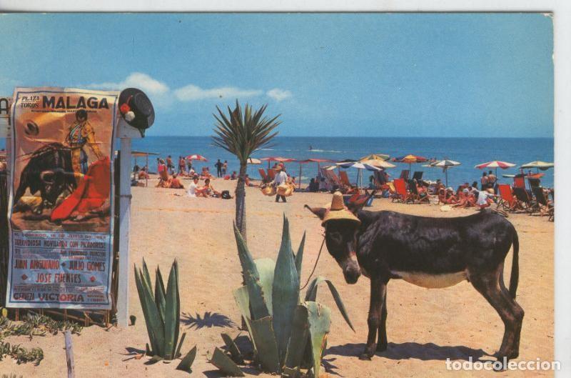 Postcards: Postal 07918 : Torremolinos, Playa de Montemar - Varios