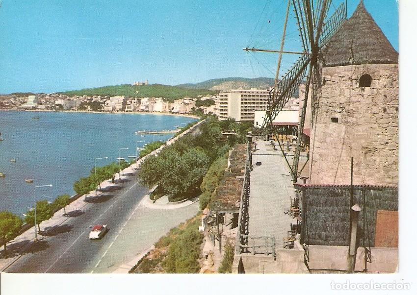 Postkarten: Postal 040278 : Palma de Mallorca. Paseo Maritimo - Varios