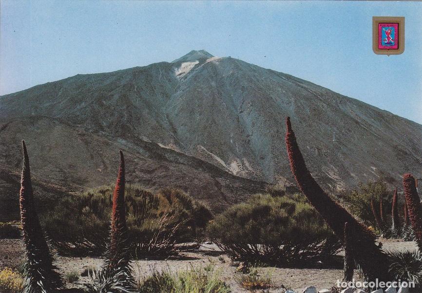 Postales: Postal 60089: El Teide (Tenerife) - Varios - Foto 1