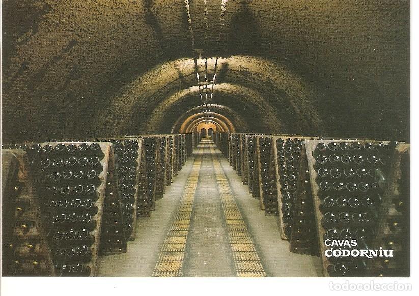 Postales: Postal 029425 : Cavas Codorniu Botellas en pupitre - Varios