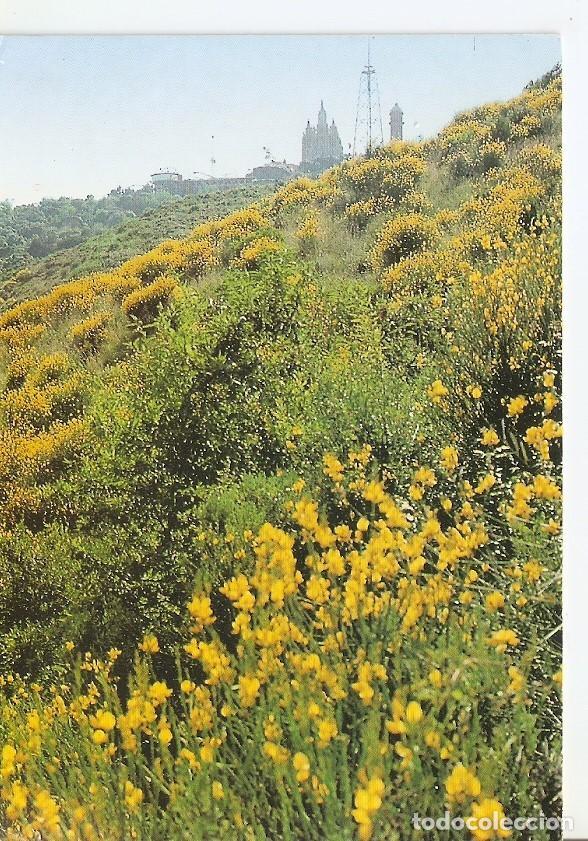 Postais: Postal 033979 : Area metropolitana de Barcelona. Parc de Collserola - Varios