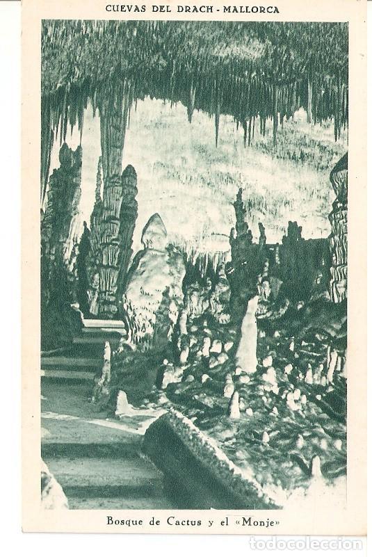 Cartes Postales: Postal 044862 : Cuevas del Drach - Mallorca. Bosque de Cactus y el Monje - Varios
