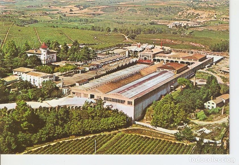 Postales: Postal 039843 : Cavas Codorniu. Exteriores - Varios