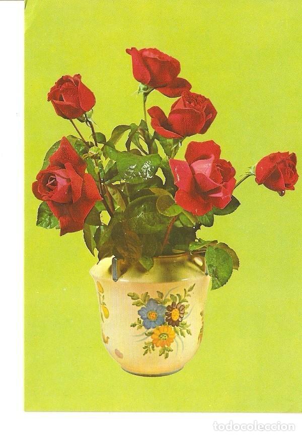 Postkarten: Postal 024473 : Rosas - Varios