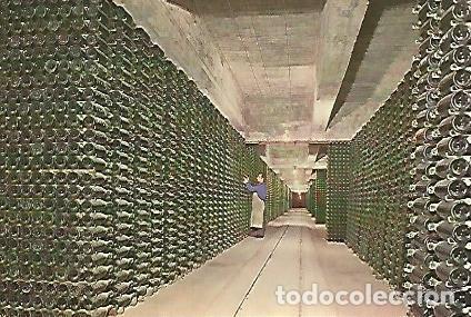 Postales: POSTAL A0031: Botellas de Codorniu envejeciendo - Varios