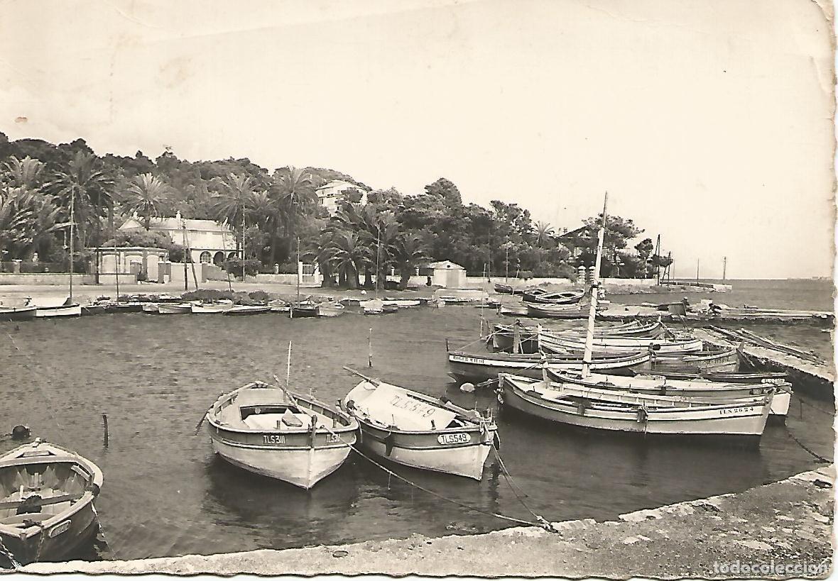 Postales: Postal 51119: TOULON - El puerto - Varios