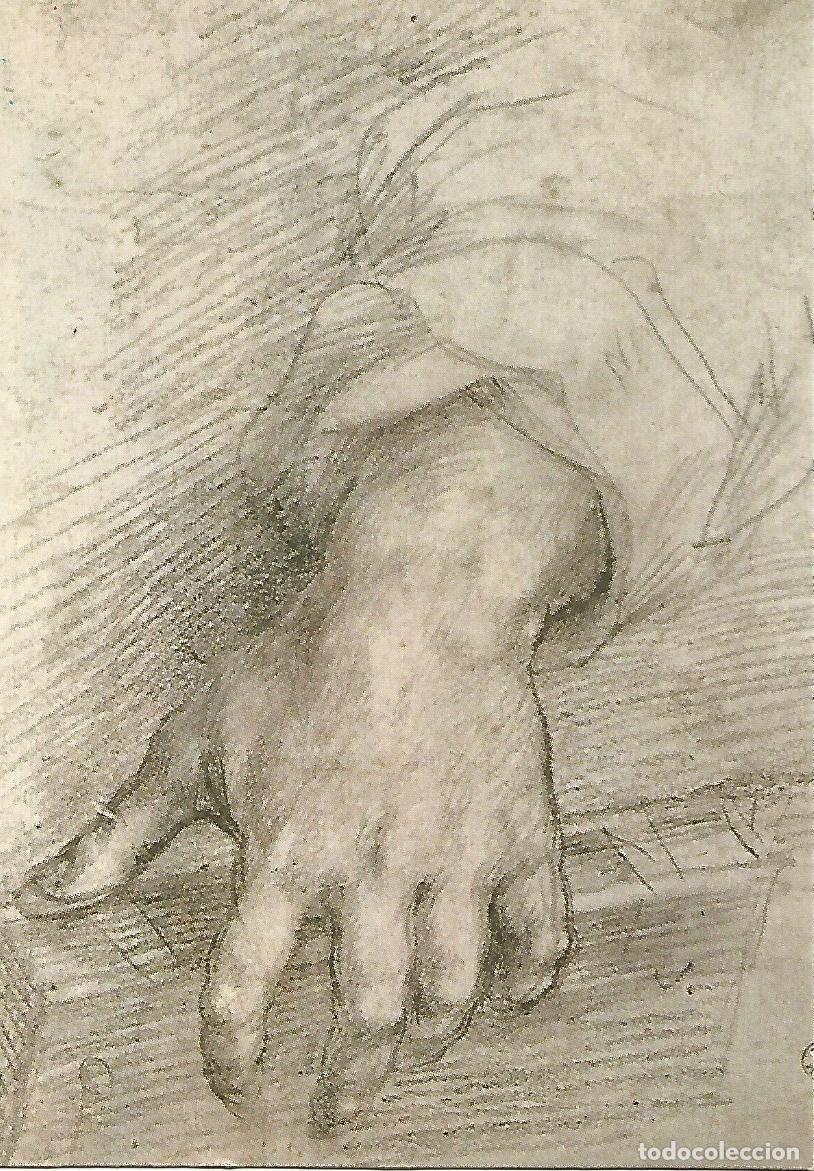Postkarten: Postal 51351: ANDREA DEL SARTO - Mano femenina - Varios
