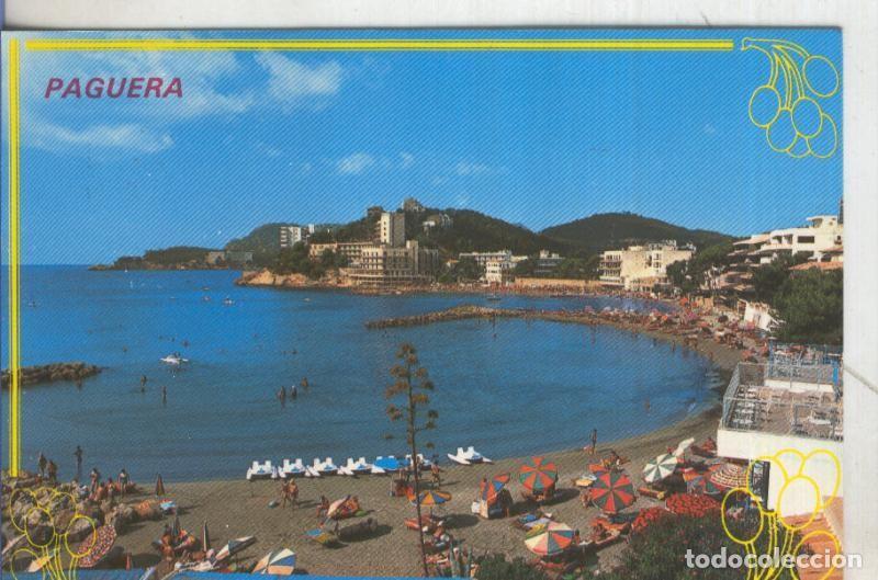 Postales: Postal 5128 : Paguera en Mallorca - Varios