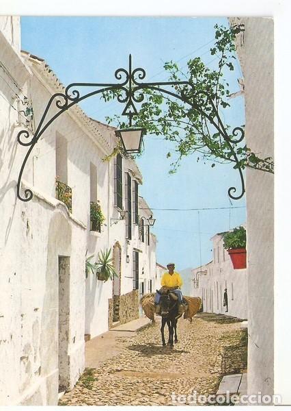 Cartoline: Postal 046849 : Costa del Sol - Mijas. Calle tipica - Varios