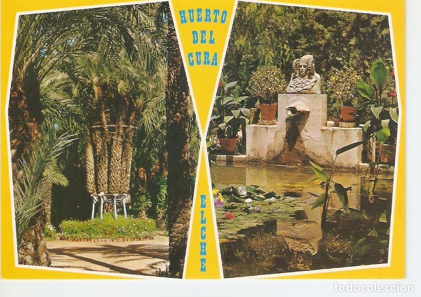 Postales: Postal 029510 : Elche Huerto del Cura. La Palmera Imperial y el Tocador de la Dama de Elche - Varios