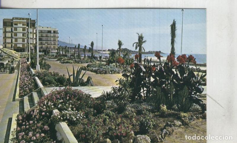Postais: Postal 002842: Costa del Sol: Estepona - Varios