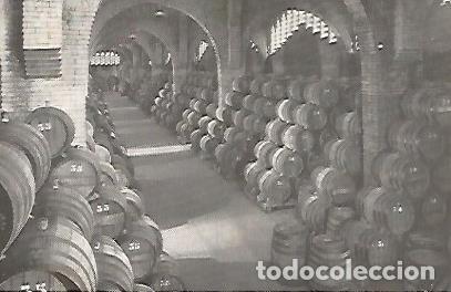 Postales: POSTAL A0343: Bodega de la Casa Codorniu - Varios