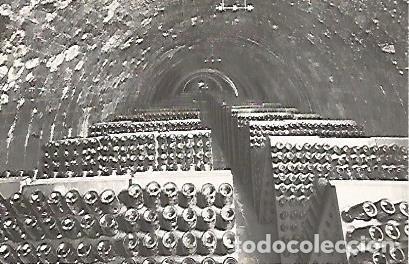 Postales: POSTAL A0353: Botellas en pupitres. Codorniu - Varios